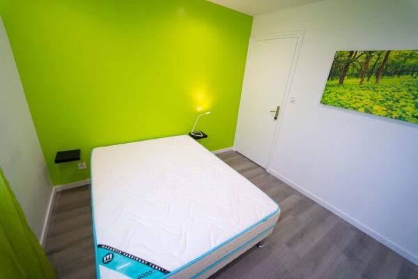 Turquoise location Le Caire - Geen ROOM (Lyon 3e) Le Caire - Geen ROOM (Lyon 3e)